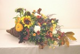 cornucopia