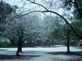 park/snow
