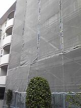 SH350155