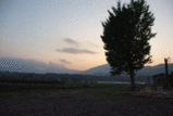 a25787b6.gif