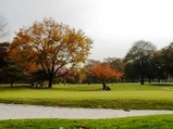 Dyker Beach