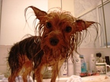 after shower