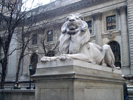 lion