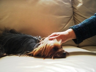 with Chcorat