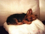 good night