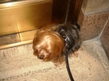 in front of the door