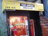 Tomy Dog Salon