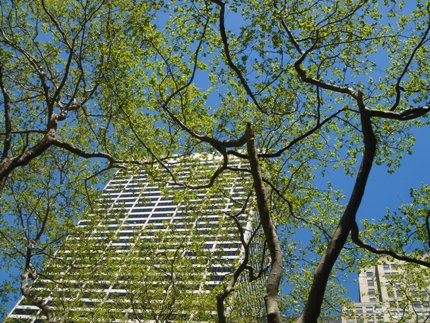 bryant park