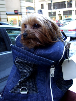 bag