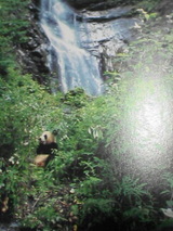 050706_2048~01.jpg
