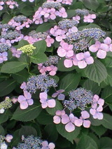 050626_1417~02.jpg