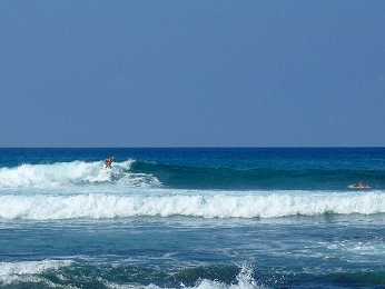 P1030353