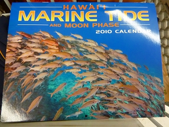 P1010801