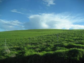 ranch