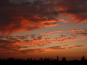 P1030672