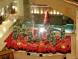 インターコンチネンタル クリスマス2009