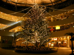 Merry Dream Christmas