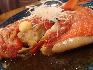 torobako4