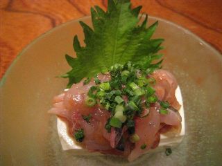 aonoki20080718-003.JPG