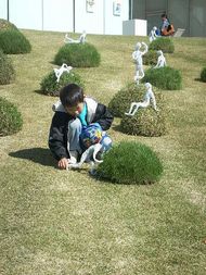 PICT8751