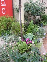 IMG_0624