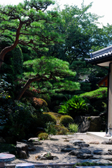 養老の庭