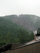 70459b56.JPG