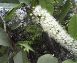 d82a617b.jpg