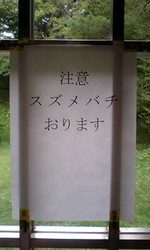 suzumebachi