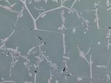 833fa476.jpg