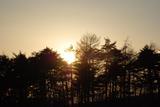 夕日