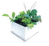 mini-garden-kit-480-5