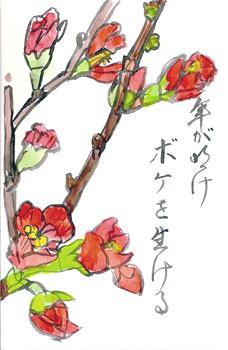 scan01