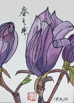 spring