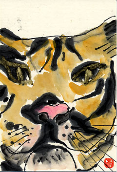 tora