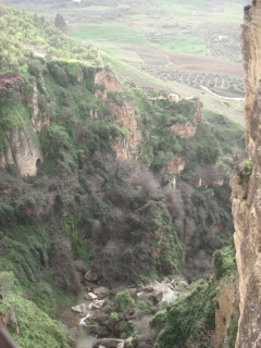 �ǎ��Ύ޶�����