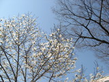 56e96097.JPG