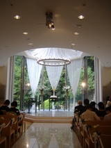 f3860c56.jpg