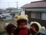 snow