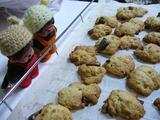 oatmeal cookie