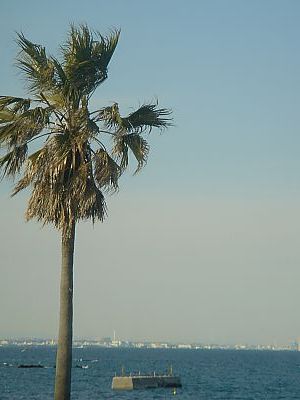 b5445ceb.jpg