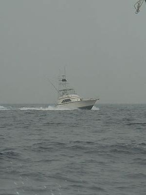 BOL・カジキ釣り006(一日目・三宅島)