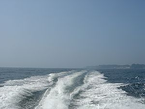 猿島、観音崎、城ヶ島クルージング011