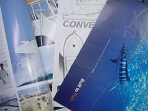 アルベマーレ410コンバーチブル