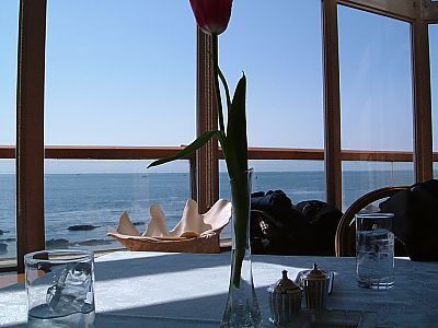 佐島マリーナ食事001