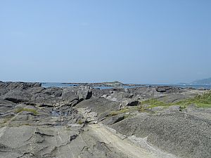 佐島・天神島臨海自然教育園001