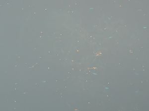 伊東マリンタウン・伊東サンライズマリーナ029