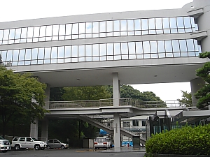 道