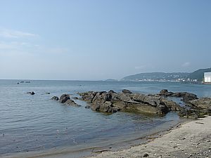 佐島・天神島臨海自然教育園023