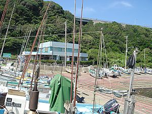 みうら・宮川フィッシャリーナ011